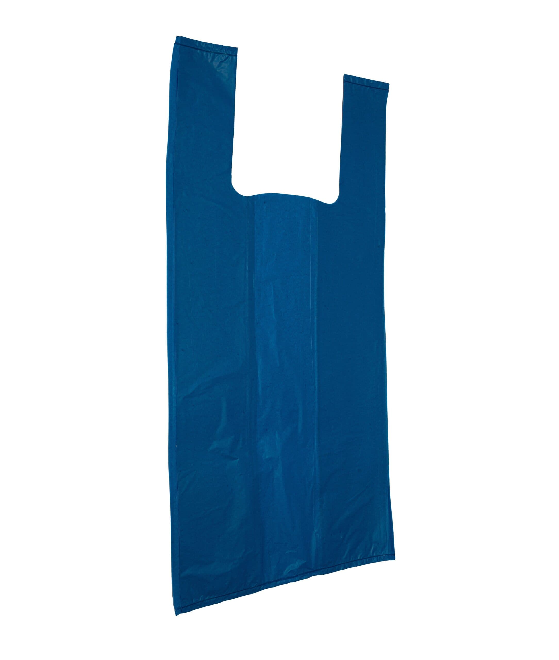 Sacola Azul Recuperada